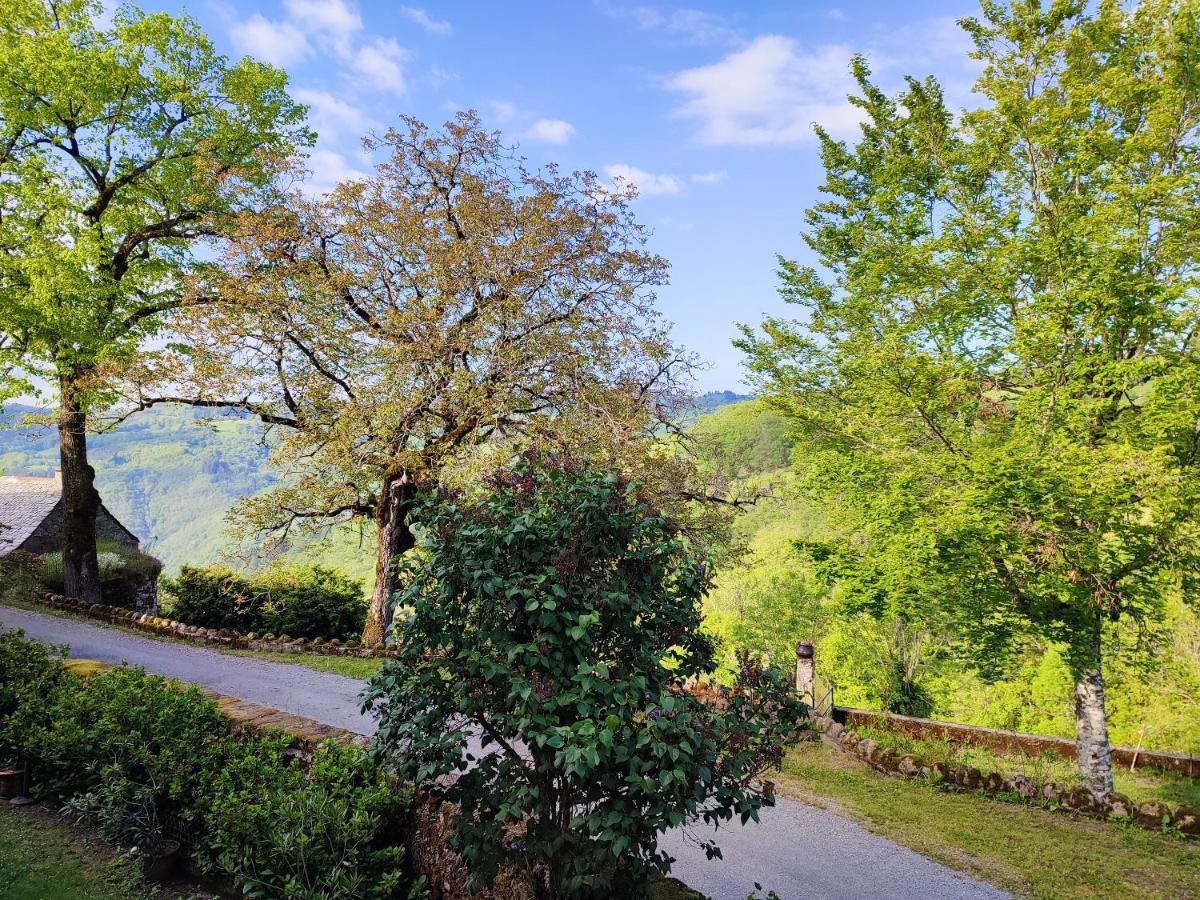Maison Charmante A Florentin La Capelle Avec Jardin Et Vue Montagne Екстер'єр фото
